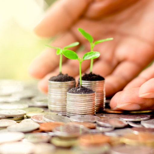 loan website